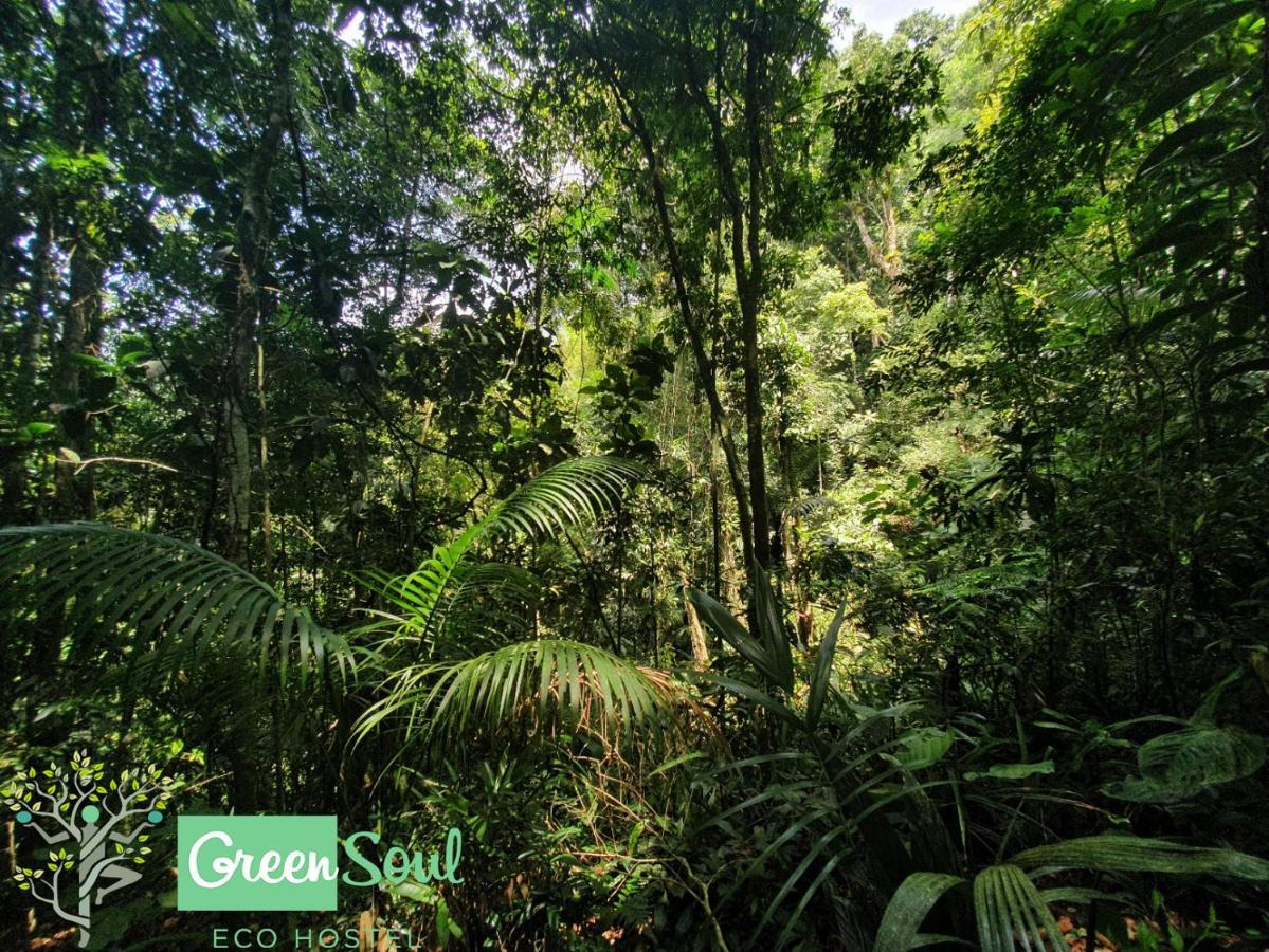 Greensoul Eco Hostel Ubatuba Buitenkant foto