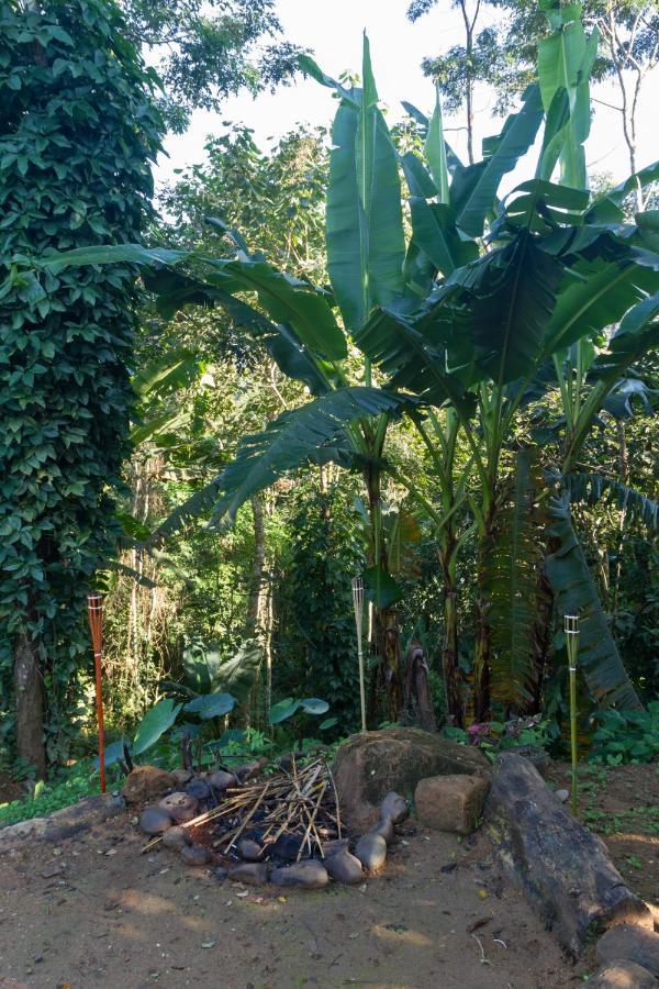Greensoul Eco Hostel Ubatuba Buitenkant foto