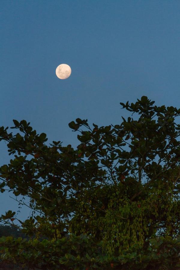 Greensoul Eco Hostel Ubatuba Buitenkant foto